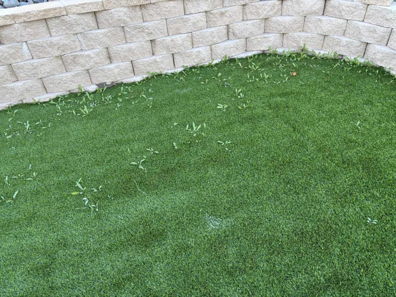 Artificial Grass Cleaning & Repair Services, San Bernardino