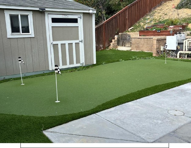 Artificial Grass Maintenance, Weed Removal, Before Gallery, San Bernardino Artificial Grass Cleaning & Repair Services