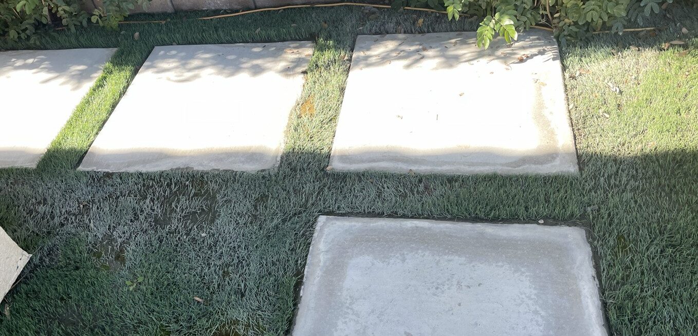 Deep Turf Cleaning Before Gallery, San Bernardino Artificial Grass Cleaning & Repair Services