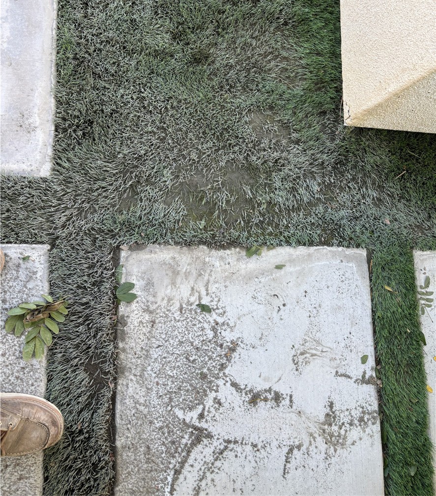 Deep Turf Cleaning – Before Gallery, San Bernardino Artificial Grass Cleaning & Repair Services