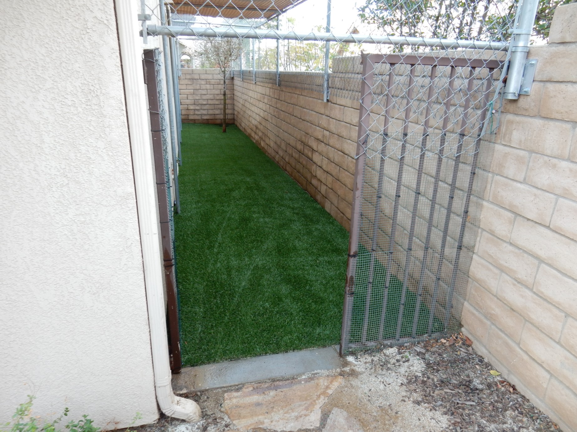 Dog Run – Corona After Gallery, San Bernardino Artificial Grass Cleaning & Repair Services