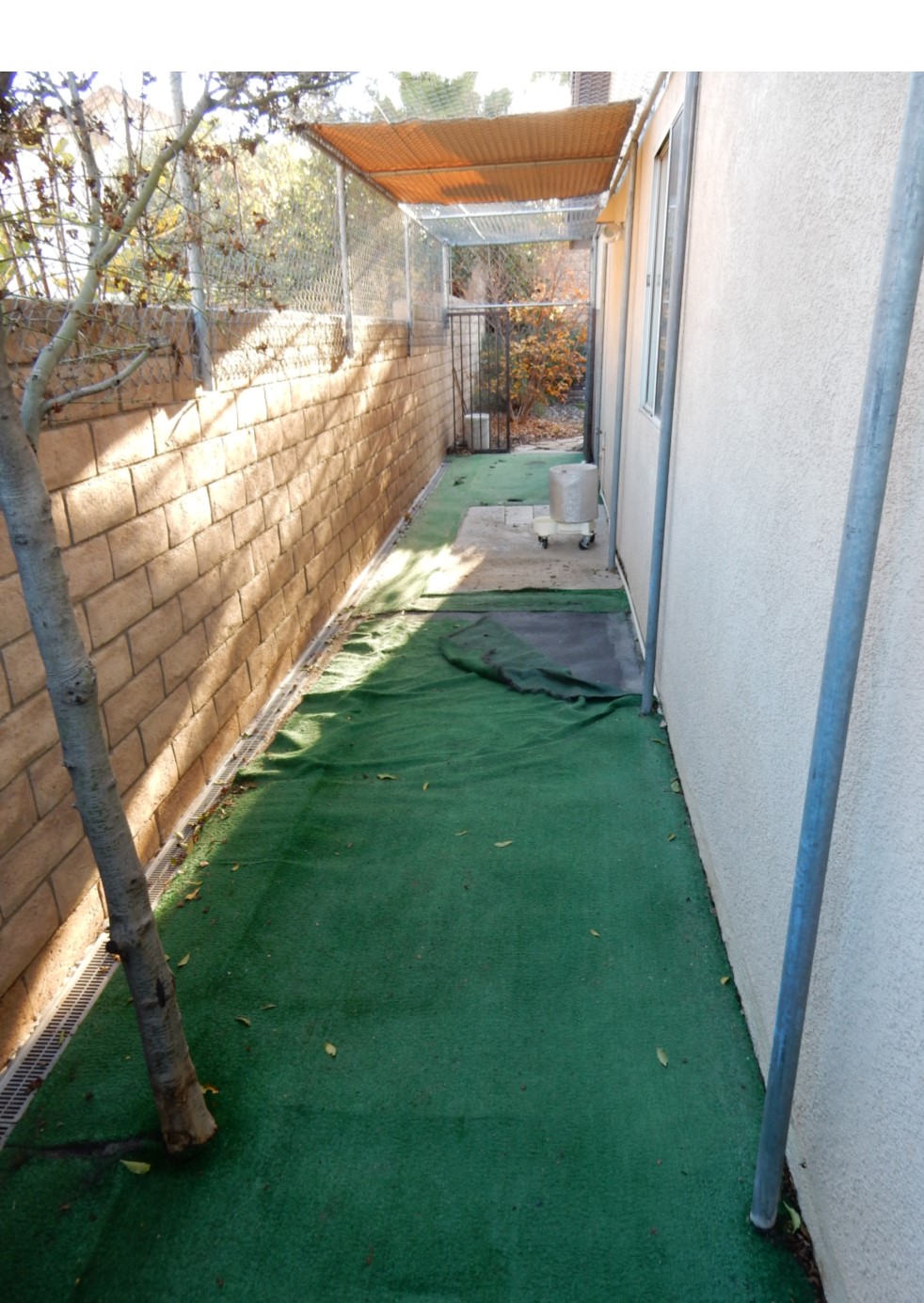 Dog Run – Corona Before Gallery, San Bernardino Artificial Grass Cleaning & Repair Services