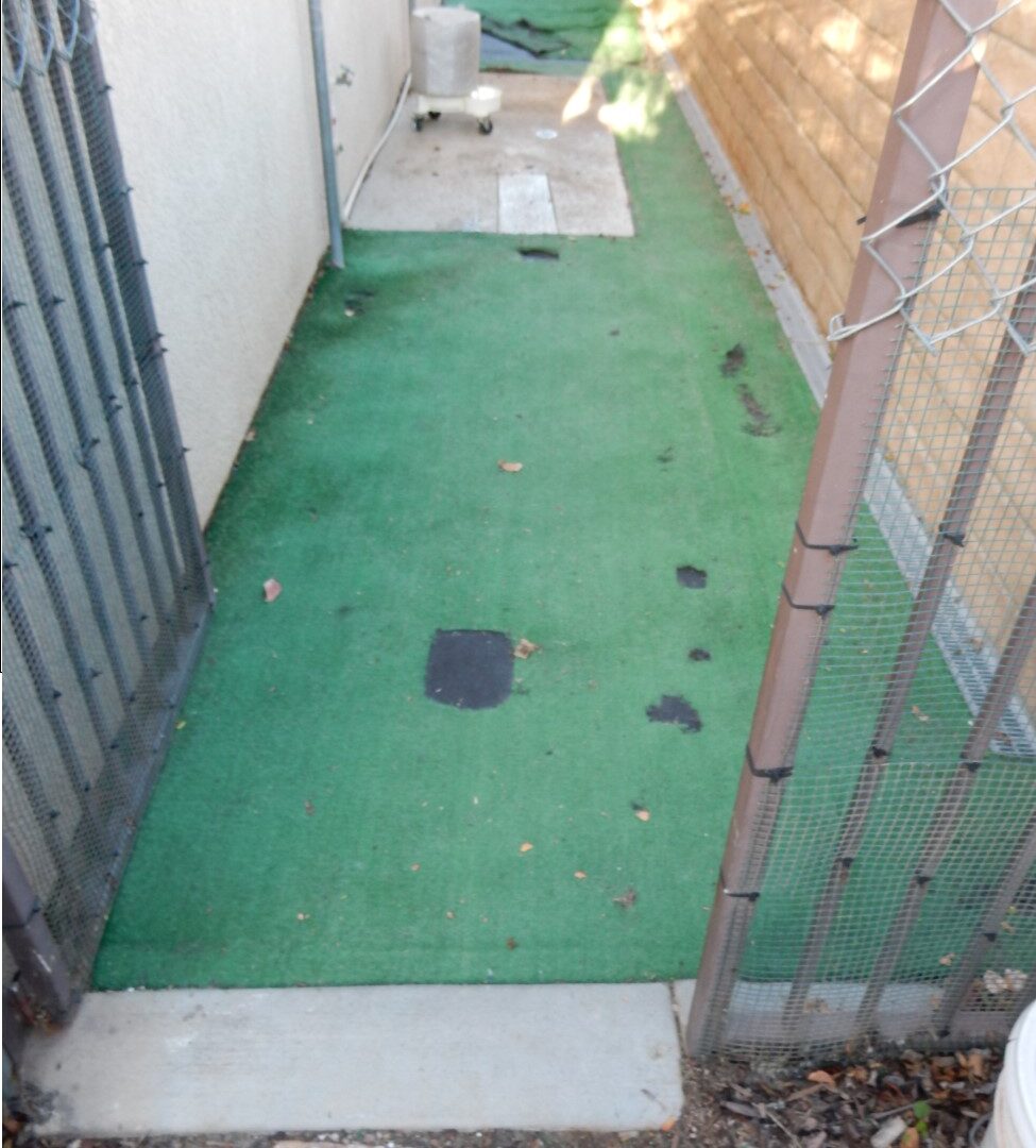 Dog Run – Corona Gallery, San Bernardino Artificial Grass Cleaning & Repair Services