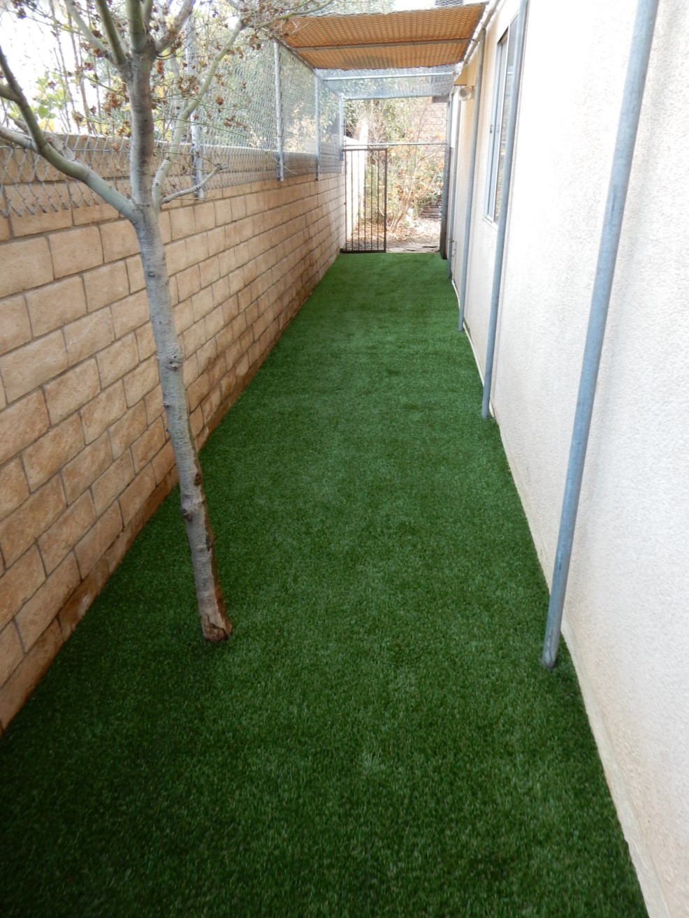 Dog Run Turf System – Corona After Gallery, San Bernardino Artificial Grass Cleaning & Repair Services