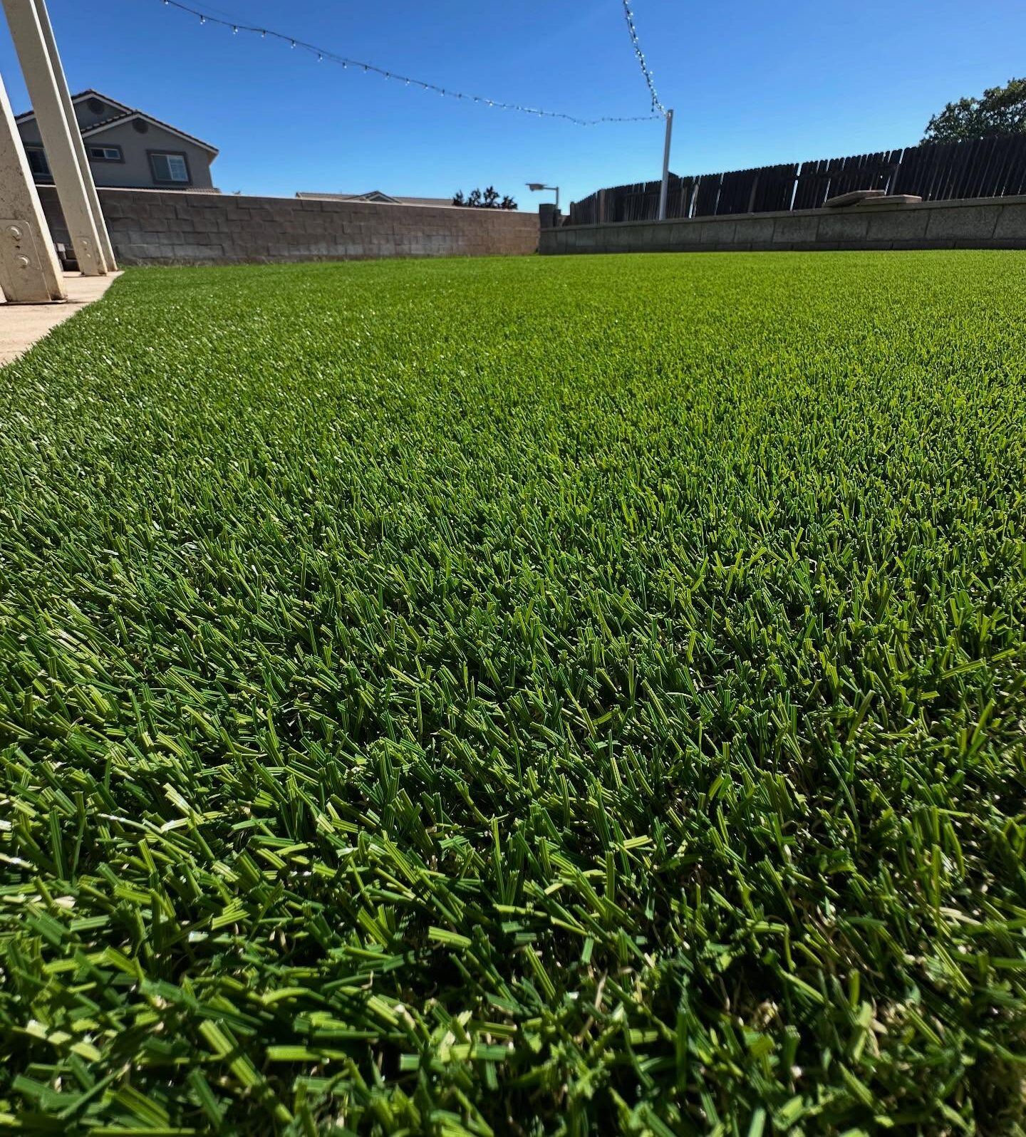 San Bernardino Artificial Grass Cleaning & Repair Services