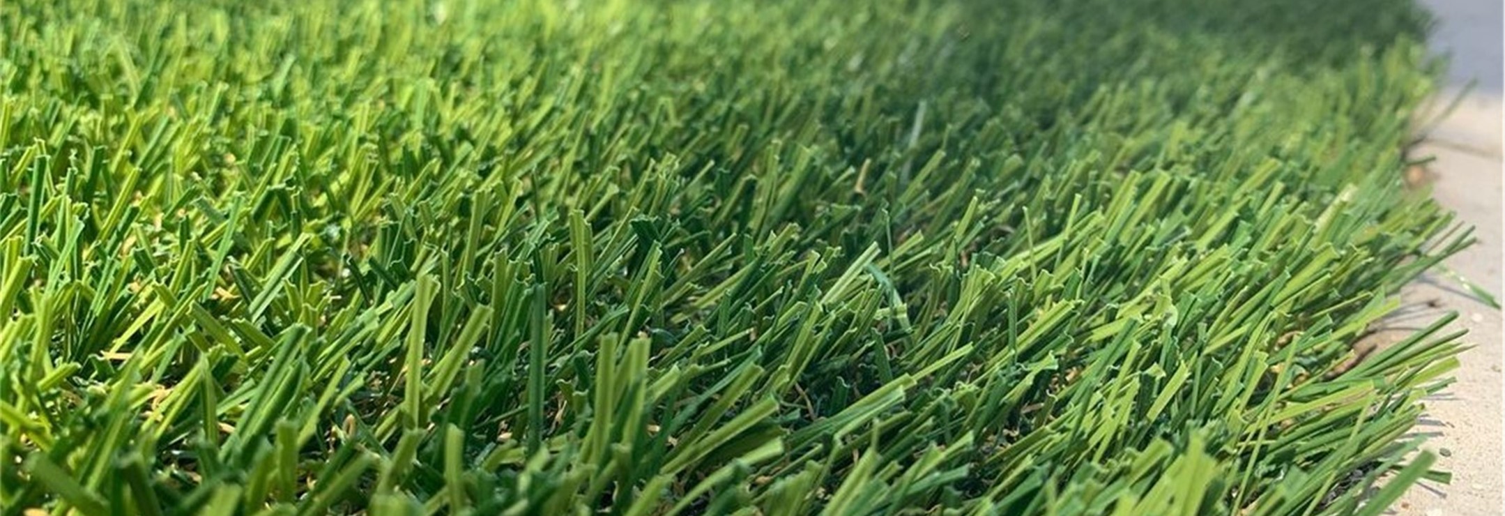 Evergreen Artificial Grass, San Bernardino Artificial Grass Cleaning