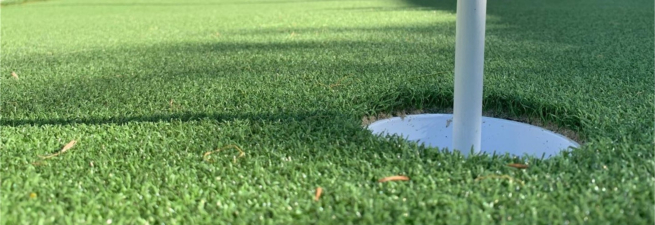 Links Putt Turf, San Bernardino Artificial Grass Cleaning
