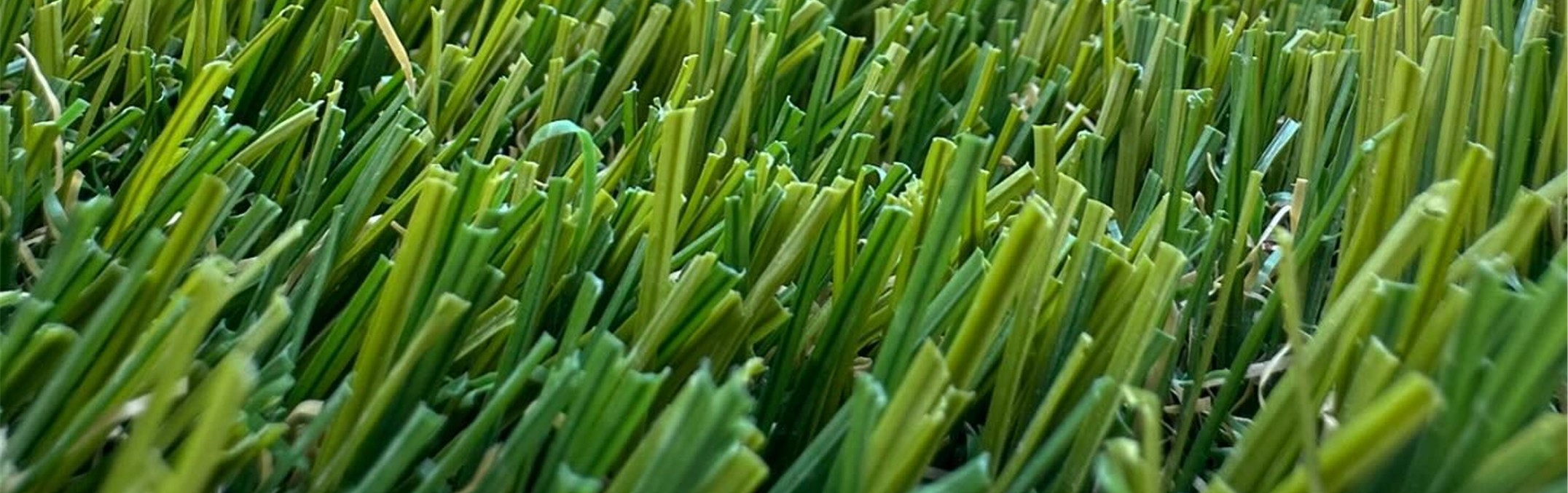 Marathon Series, San Bernardino Artificial Grass Cleaning
