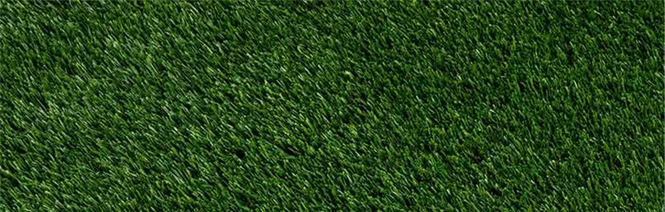Oakmont Artificial Grass Oakmont Artificial Grass, San Bernardino Artificial Grass Cleaning