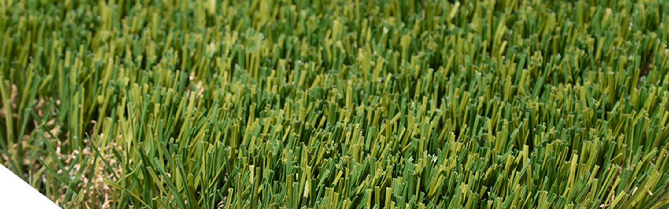 Oakmont Supreme Artificial Grass, San Bernardino Turf Cleaning
