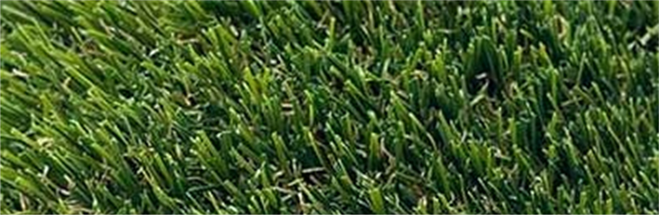 Pine Pro Artificial Grass CLose Up Pine Pro Artificial Grass, San Bernardino Artificial Grass Cleaning
