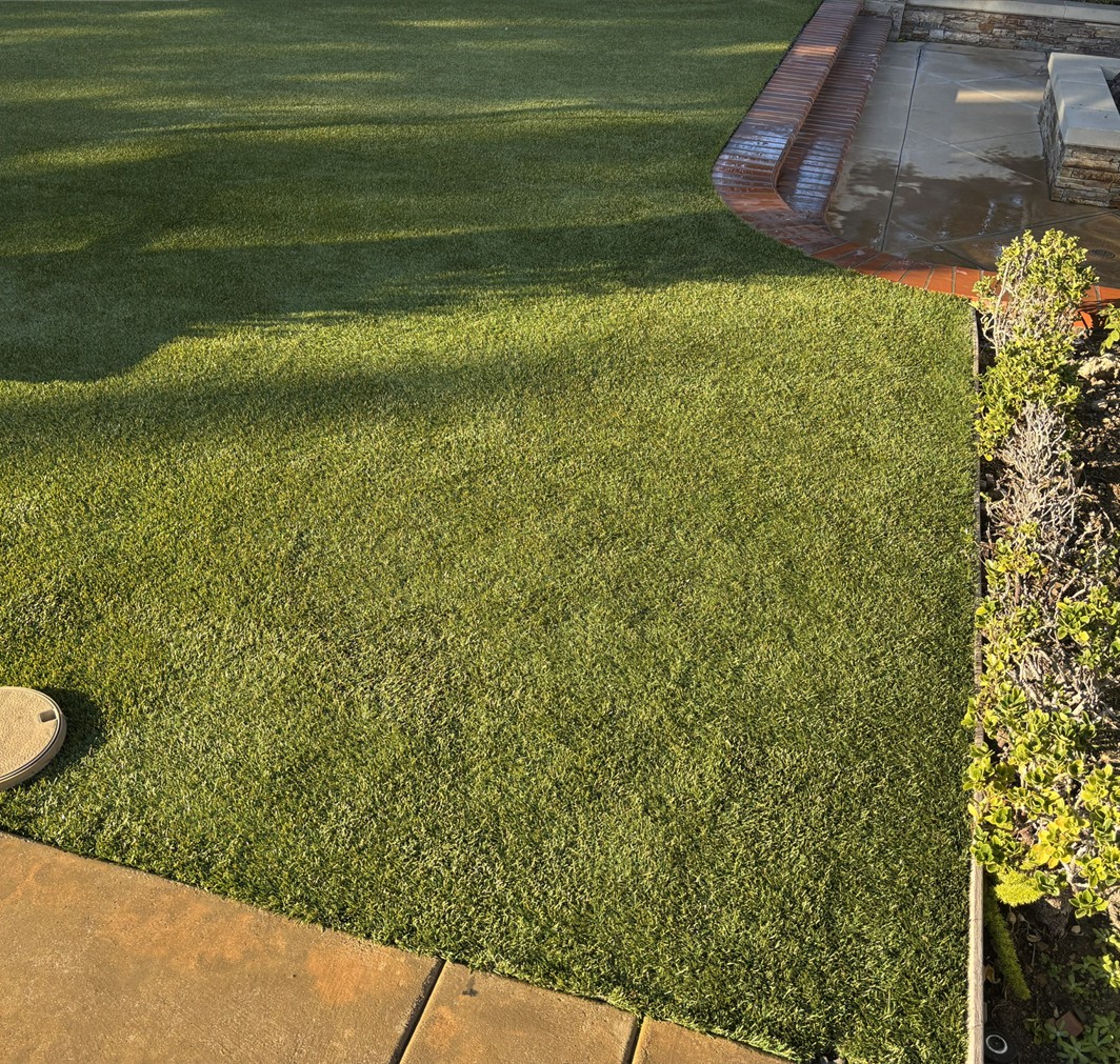 Root Removal After Artificial Grass Repairs, San Bernardino Artificial Grass Cleaning
