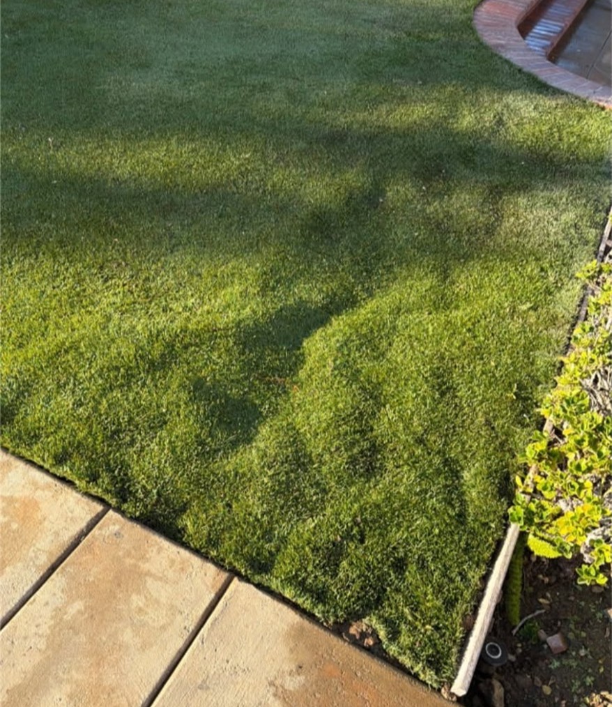 San Bernardino Artificial Grass Cleaning & Repair Services