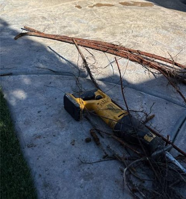 Roots Removal In Process, after Gallery, San Bernardino Artificial Grass Cleaning & Repair Services