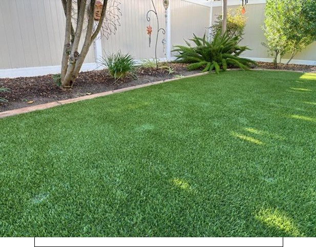Roots Removal after Gallery, San Bernardino Artificial Grass Cleaning & Repair Services