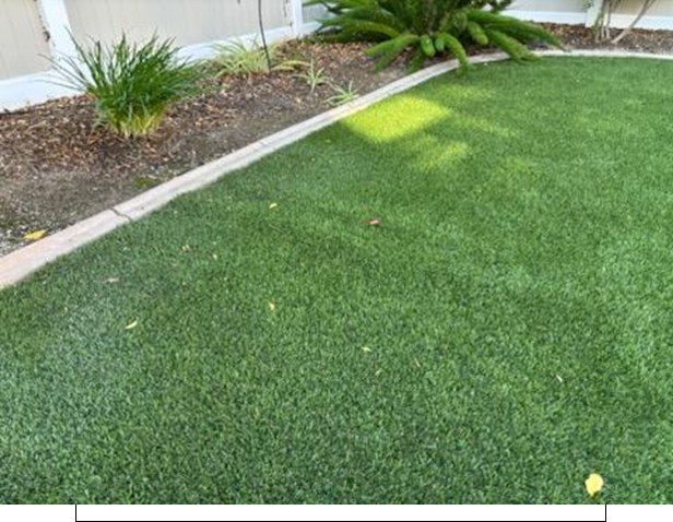 Roots Removal before Gallery, San Bernardino Artificial Grass Cleaning & Repair Services
