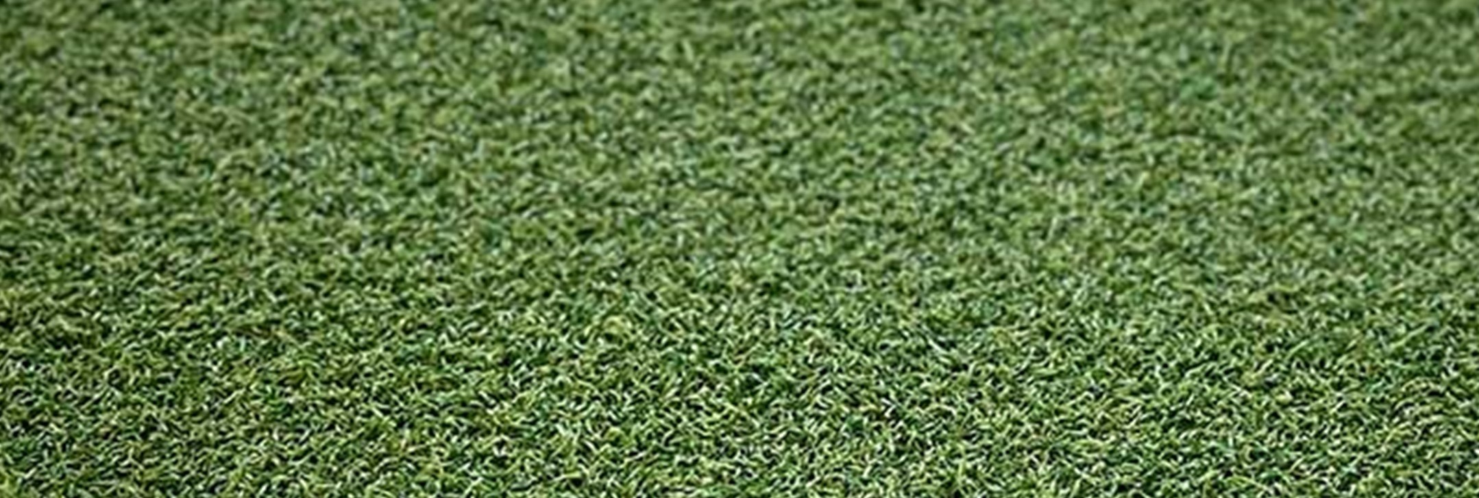 XTREME PLAY Close Up Xtreme Sports/Play Turf, San Bernardino Artificial Grass Cleaning
